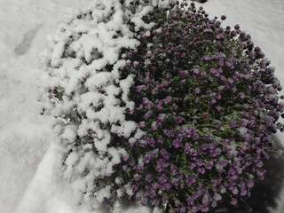 Отель Отель 7я Krasnosilske-2