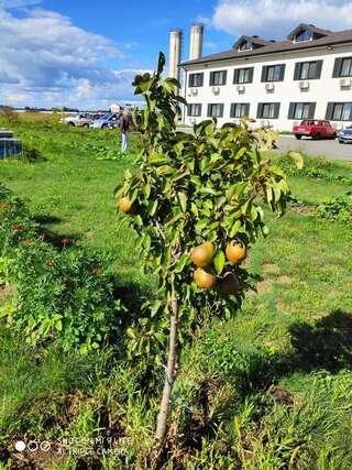 Отель Отель 7я Krasnosilske-4